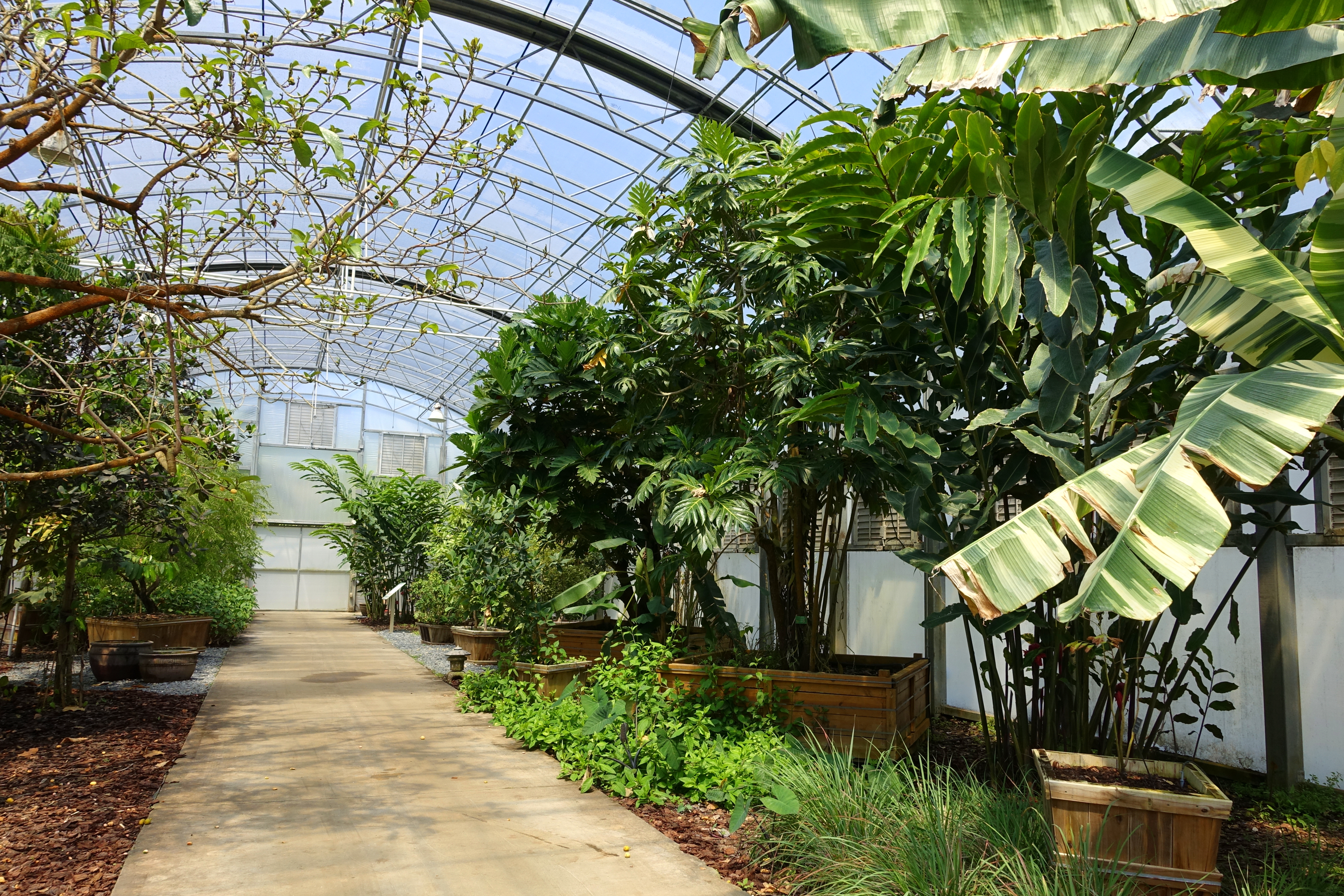 Smart greenhouse